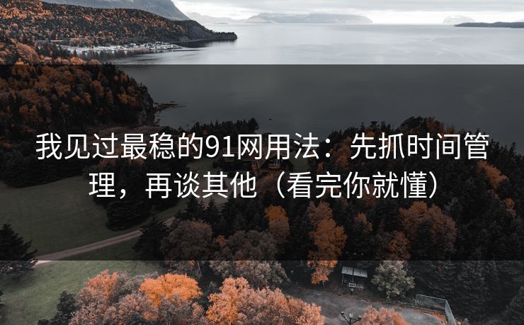 我见过最稳的91网用法:先抓时间管理,再谈其他(看完你就懂)
