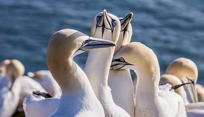 暖暖日本在线高清——畅享优质日本影视盛宴