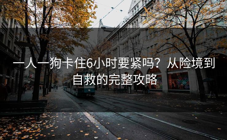 一人一狗卡住6小时要紧吗？从险境到自救的完整攻略