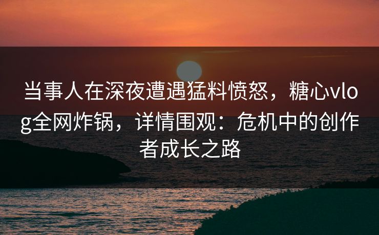 当事人在深夜遭遇猛料愤怒，糖心vlog全网炸锅，详情围观：危机中的创作者成长之路