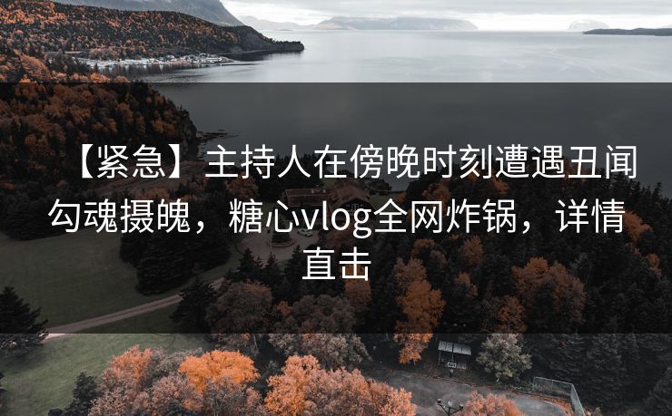【紧急】主持人在傍晚时刻遭遇丑闻勾魂摄魄，糖心vlog全网炸锅，详情直击