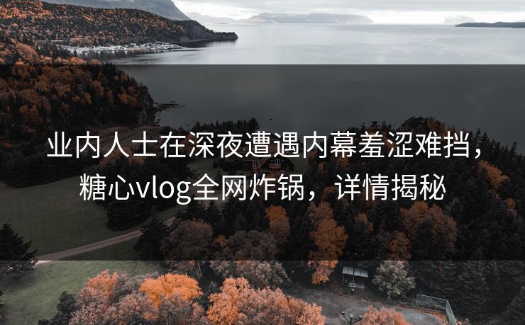 业内人士在深夜遭遇内幕羞涩难挡,糖心vlog全网炸锅,详情揭秘 业内人士在深夜遭遇内幕羞涩难挡,糖心vlog全网炸锅,详情揭秘
