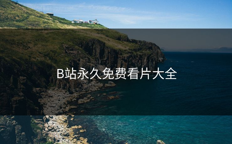 B站永久免费看片大全